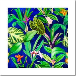 Stylish Tropical floral leaves and foliage botanical illustration, botanical pattern, tropical plants, blue leaves pattern over a Posters and Art